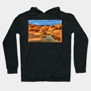 Reflections Of The Petrified Dunes Hoodie